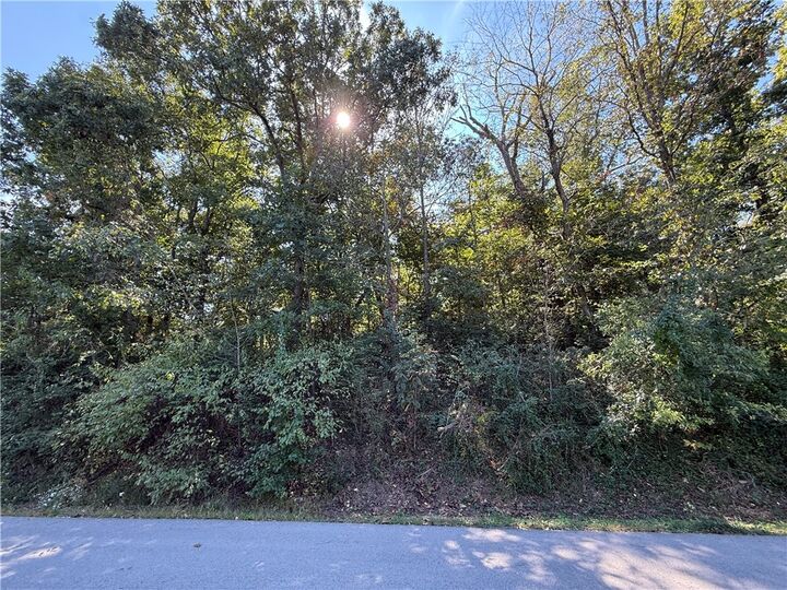 Property Photo: Lot 9 Swanage Drive AR 72715