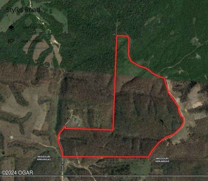 Property Photo:  Tract 13 Styles Road  MO 64854 