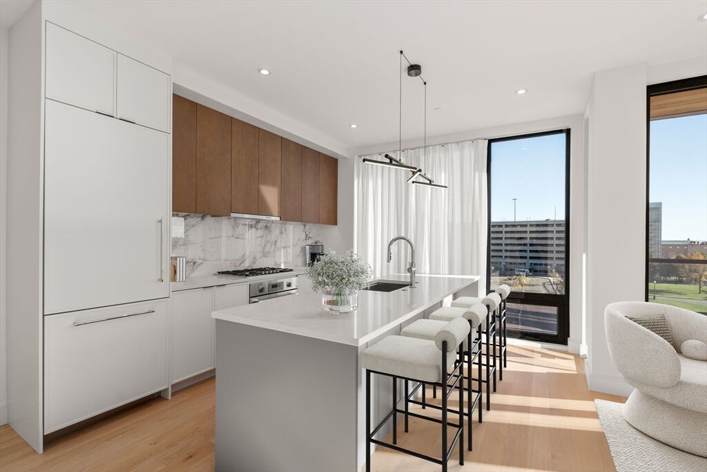 Property Photo:  595 Albany Street 401  MA 02118 