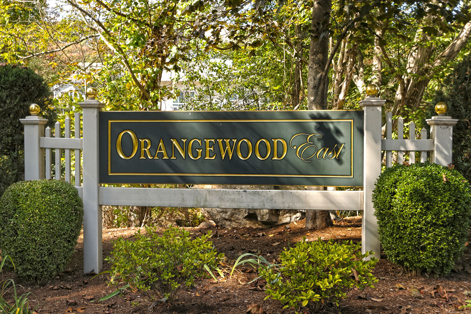 Property Photo: 249 Shagbark Drive 249 CT 06418