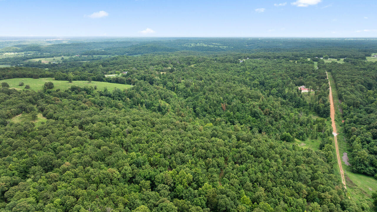 Property Photo:  Tract 2 Styles Road  MO 64854 
