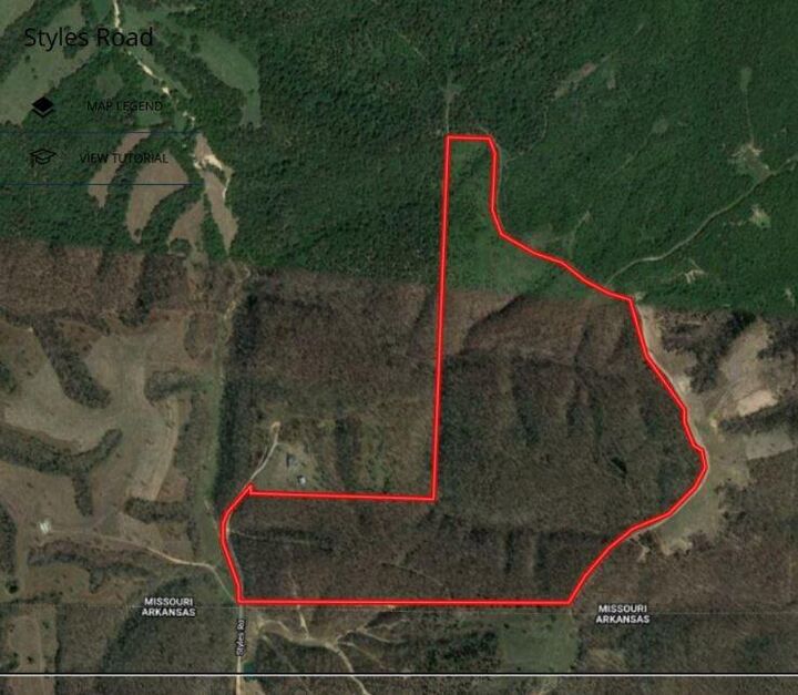 Property Photo:  Tract 9 Styles Road  MO 64854 