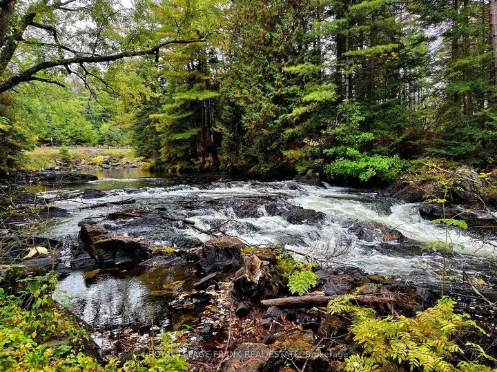 Property Photo:  8847 Highway 28 N/A  ON K0L 1A0