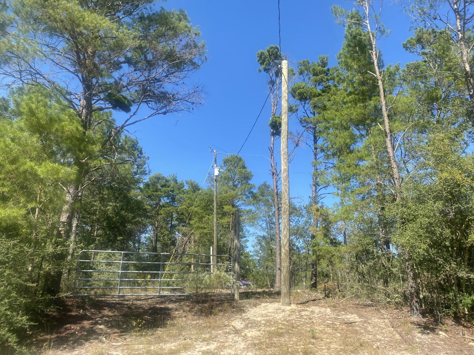 Property Photo: Tbd Camelot Avenue FL 32433