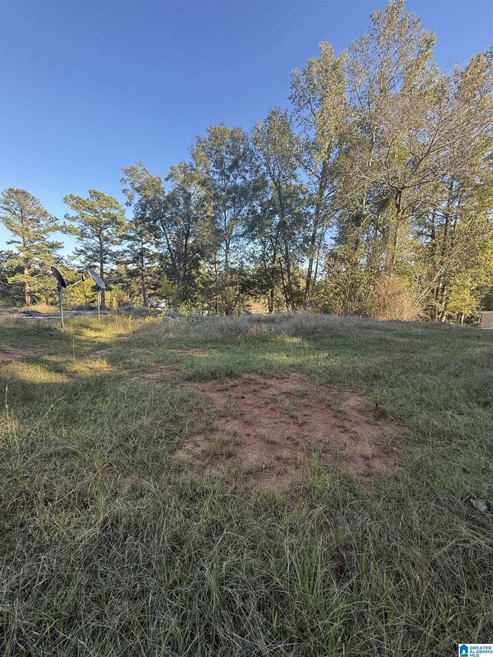 Property Photo: 118 Slaughter Street None AL 35072