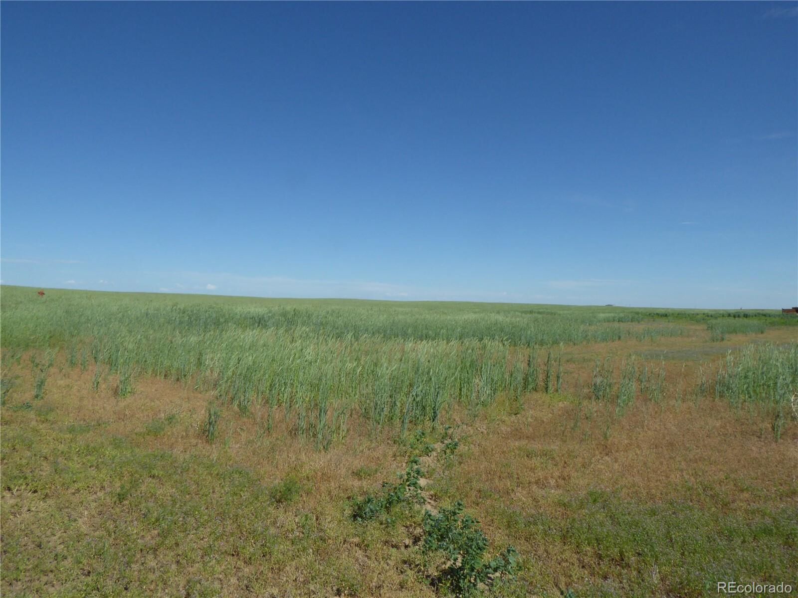 Property Photo:  4242 Cr 185  CO 80103 