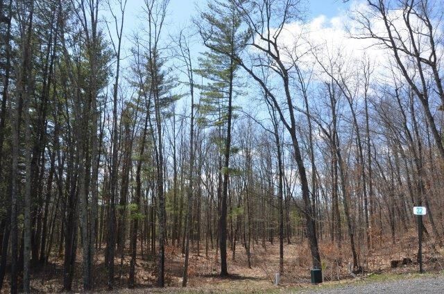 Property Photo: Lot 32A Hemlock Hills Rd PA 18848