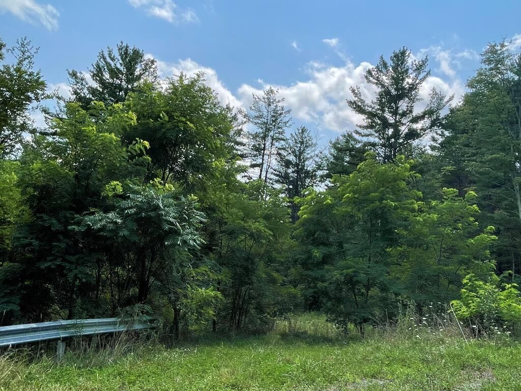 Property Photo: Lot 31A Hemlock Hills Rd PA 18848