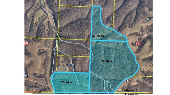 Property Photo: Tract 4 Styles Road MO 64854