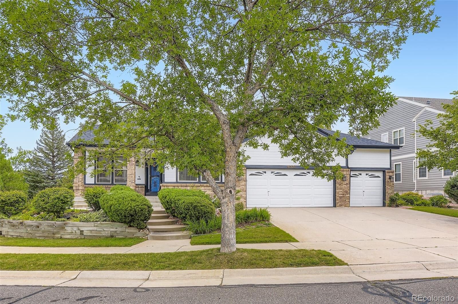 Property Photo:  6371 Umber Circle  CO 80403 