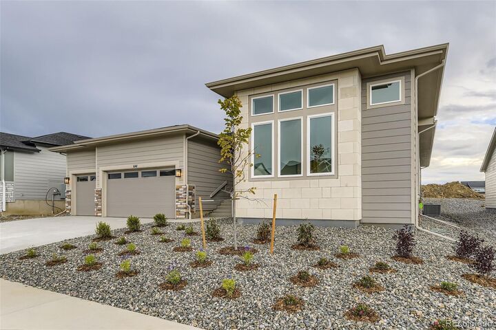 Property Photo: 641 Bistort Point CO 80104