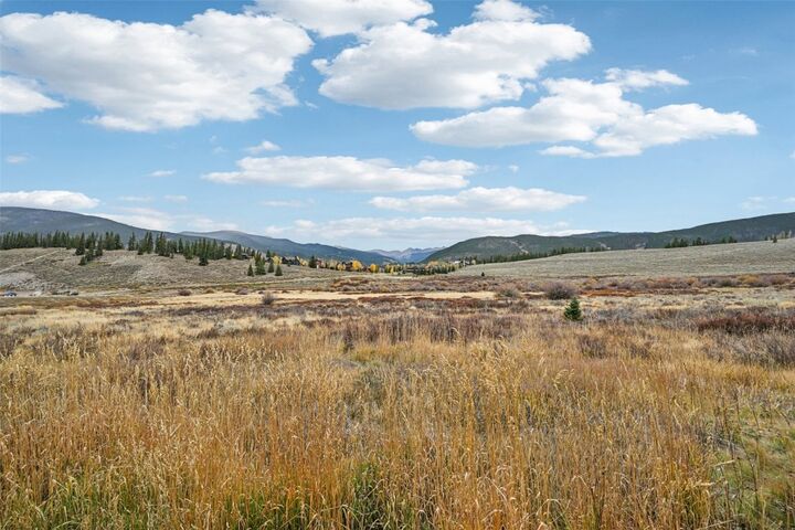 Property Photo:  1109 Royal Coachman Boulevard  CO 80435 