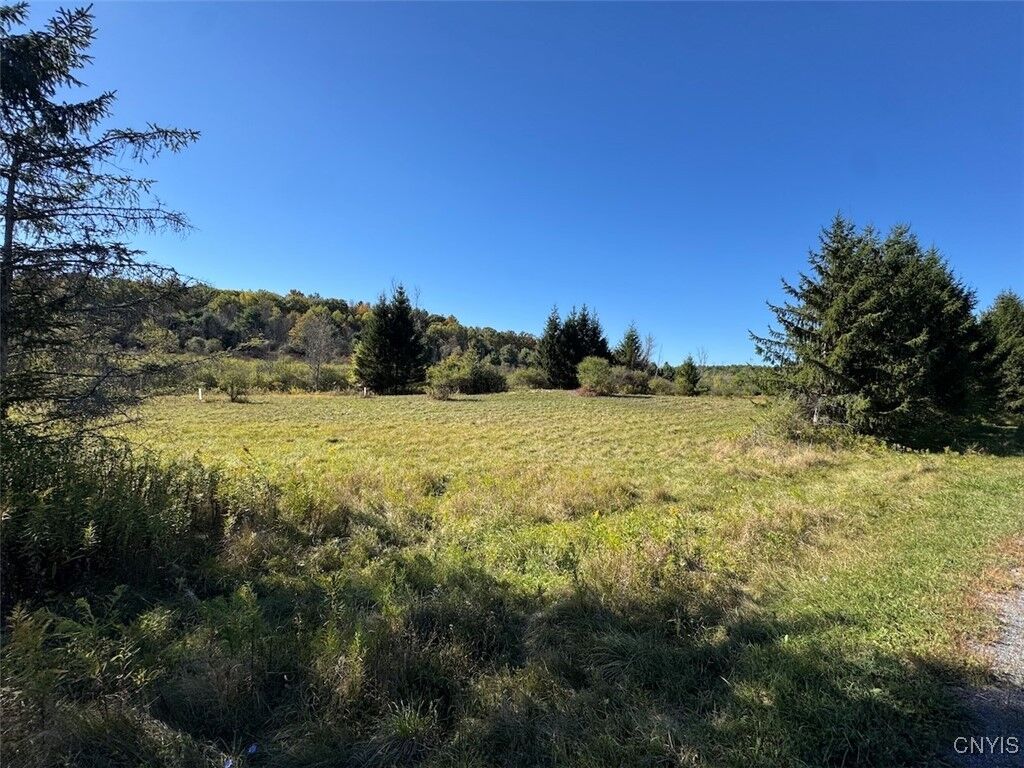 Property Photo:  County Road 96  NY 14840 