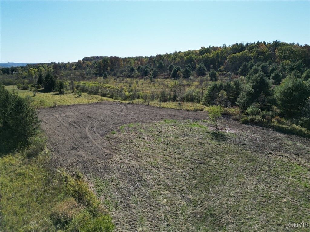 Property Photo:  County Road 96  NY 14840 