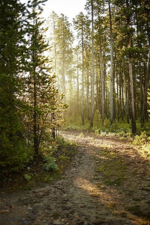 Property Photo:  Tbd Ulery'S Lakes Road - Lot 12A + 13A  MT 59716 