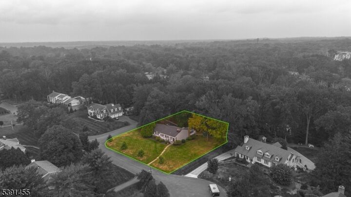 Property Photo: 4 Brandywine Ct NJ 07076
