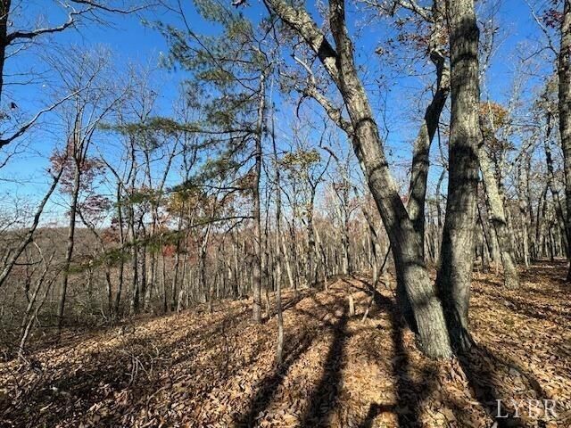 Property Photo:  0 Kingswood Lane  VA 24504