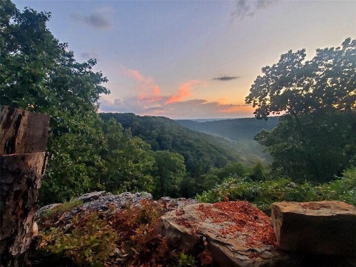 4918 County Road 501  Berryville AR 72616 photo