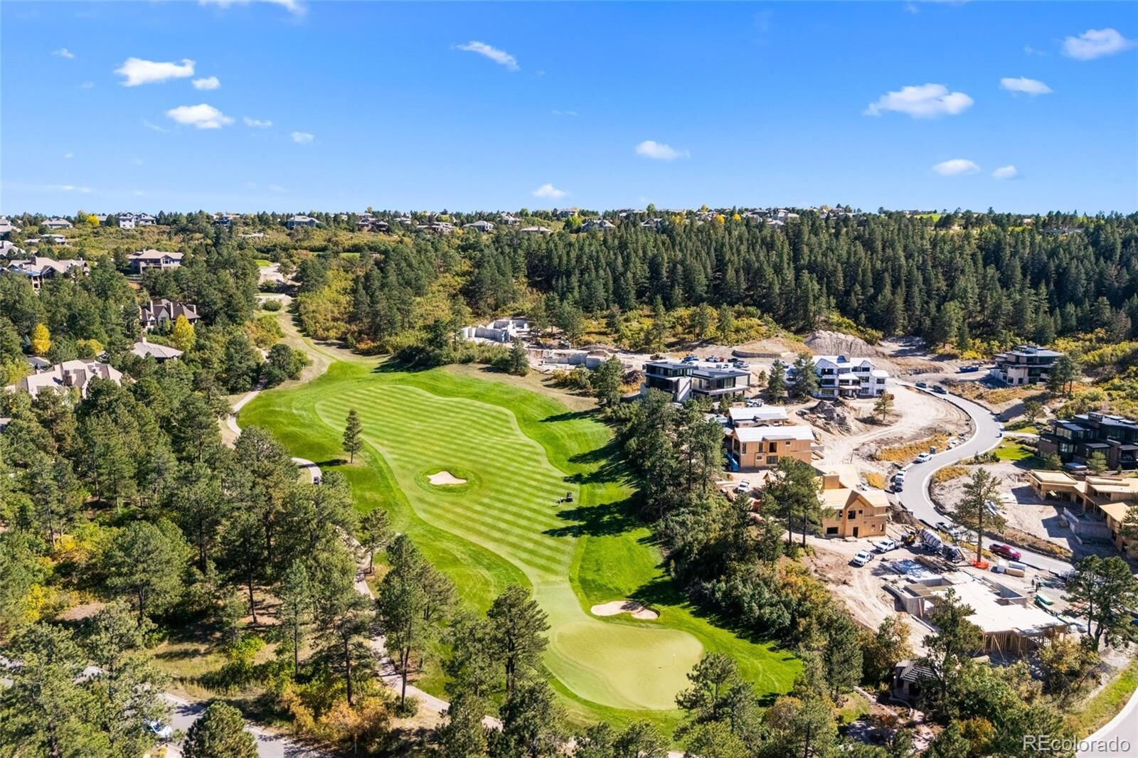Property Photo: 1095 Golf Estates Point CO 80108