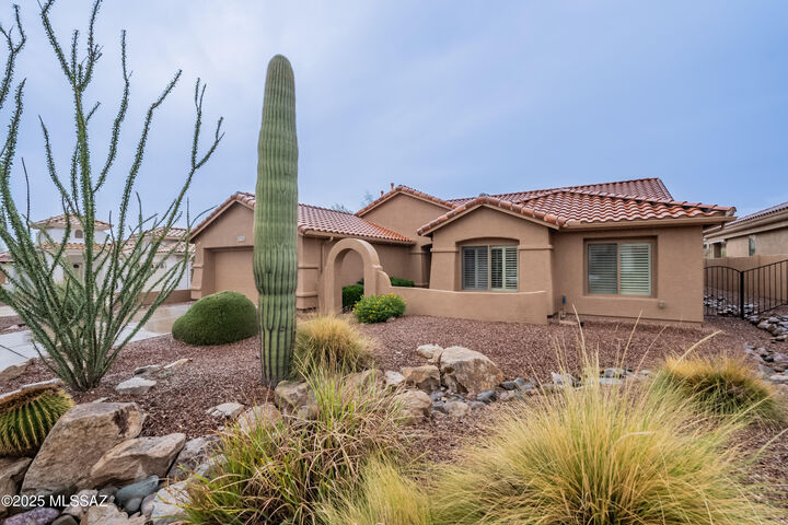 37530 S Ocotillo Canyon Drive  Saddlebrooke AZ 85739 photo