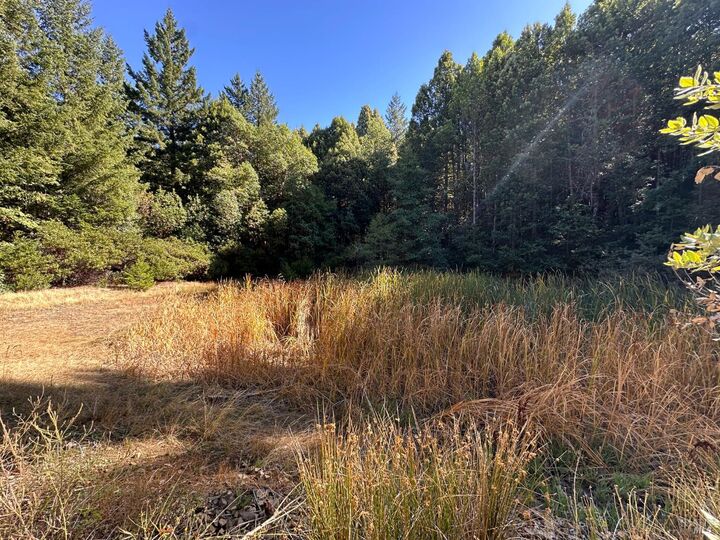 Property Photo: 51901 Stivers Road CA 95454