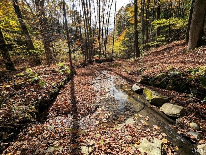 Property Photo:  Akins Road N  NY 14826 