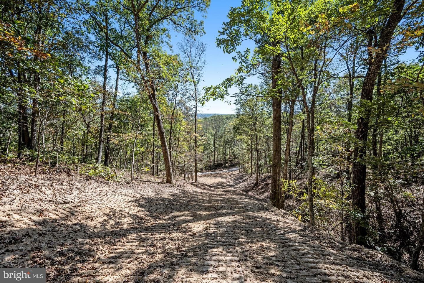 Property Photo: Lot 5 Back Creek Rd VA 22637
