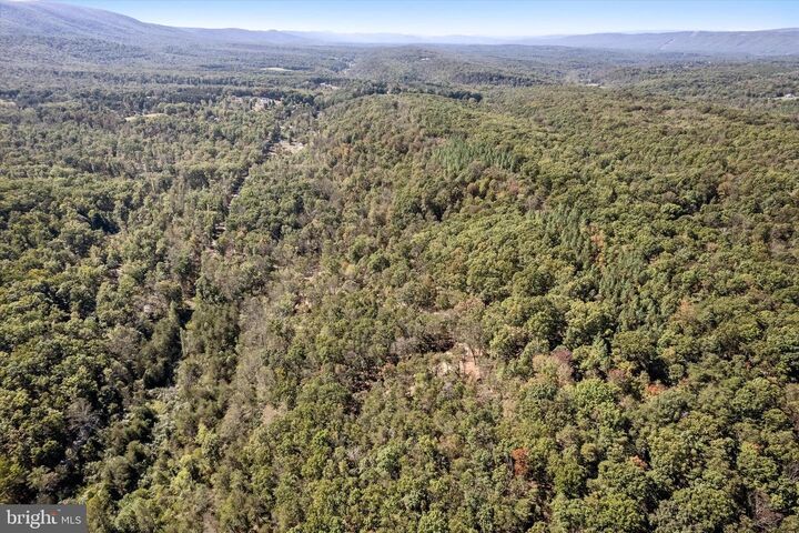 Property Photo: Lot 1 Back Creek Rd VA 22637