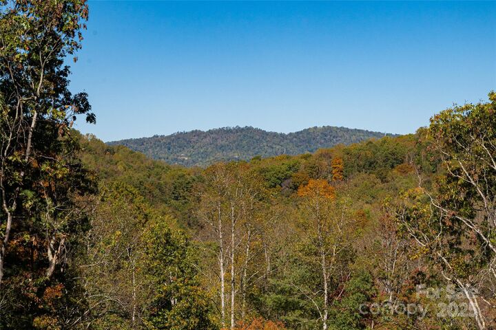 Property Photo: 6 Laurel Trail NC 28803