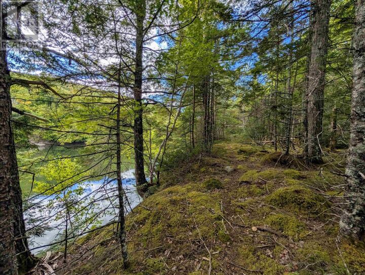 Property Photo: Lot 2 Highway 316 NS B0H 1J0