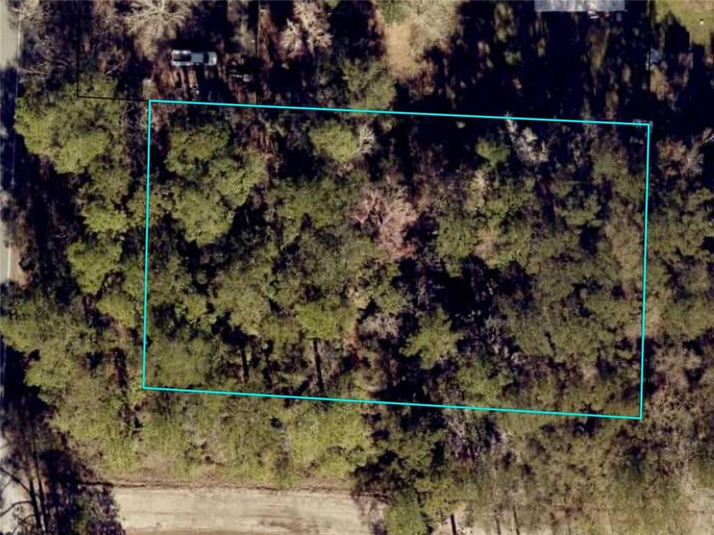 Property Photo: 0 US Highway 17 Highway GA 31565