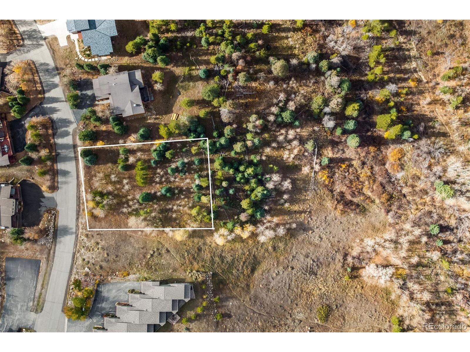 Property Photo:  228 Fawn Ct  CO 80498 