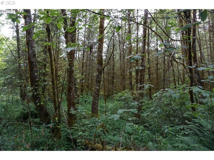 Property Photo: 000 NE Buncombe Hollow Rd Lot 29 WA 98674