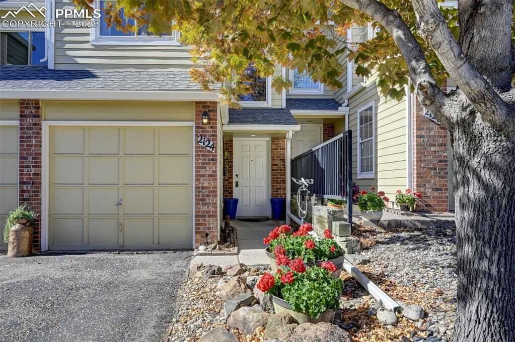 Property Photo:  2124 Palm Drive  CO 80918 