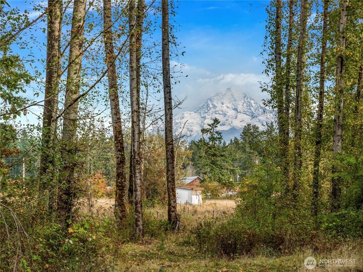 26202  110th Avenue E  Graham WA 98338 photo