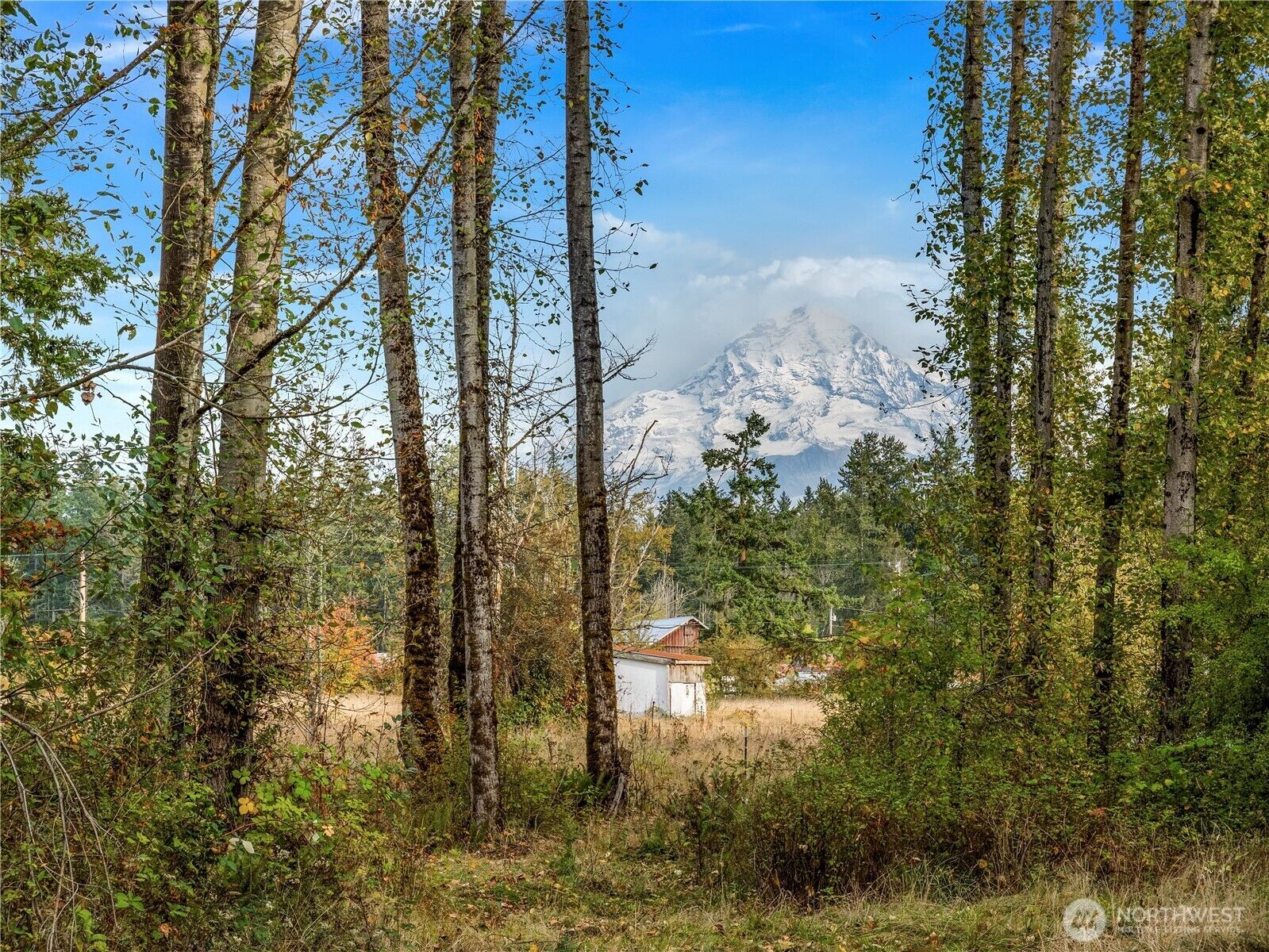 Property Photo: 26202 110th Avenue E WA 98338