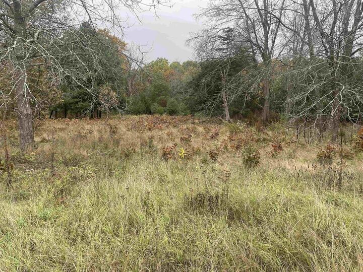 Lot 4 Sandcrest Lane  Princeton WI 54968 photo