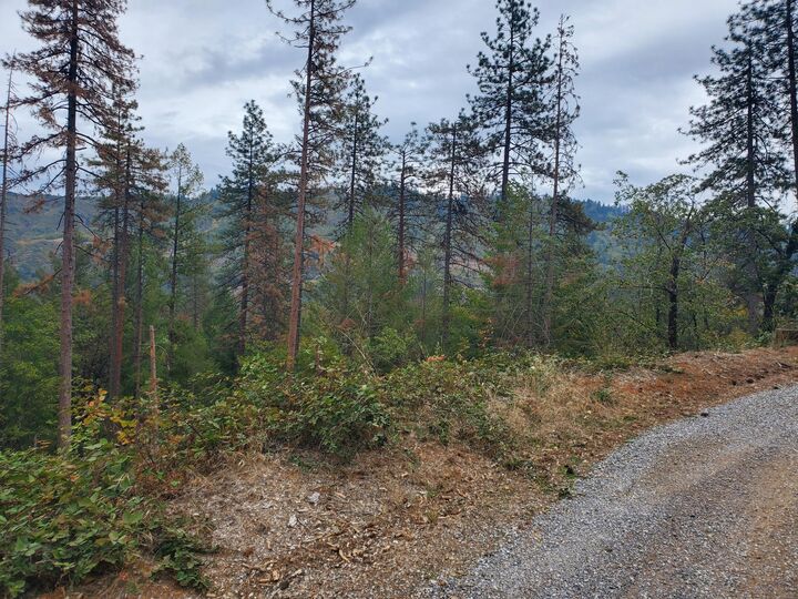 Property Photo: Racoon Dr CA 96051