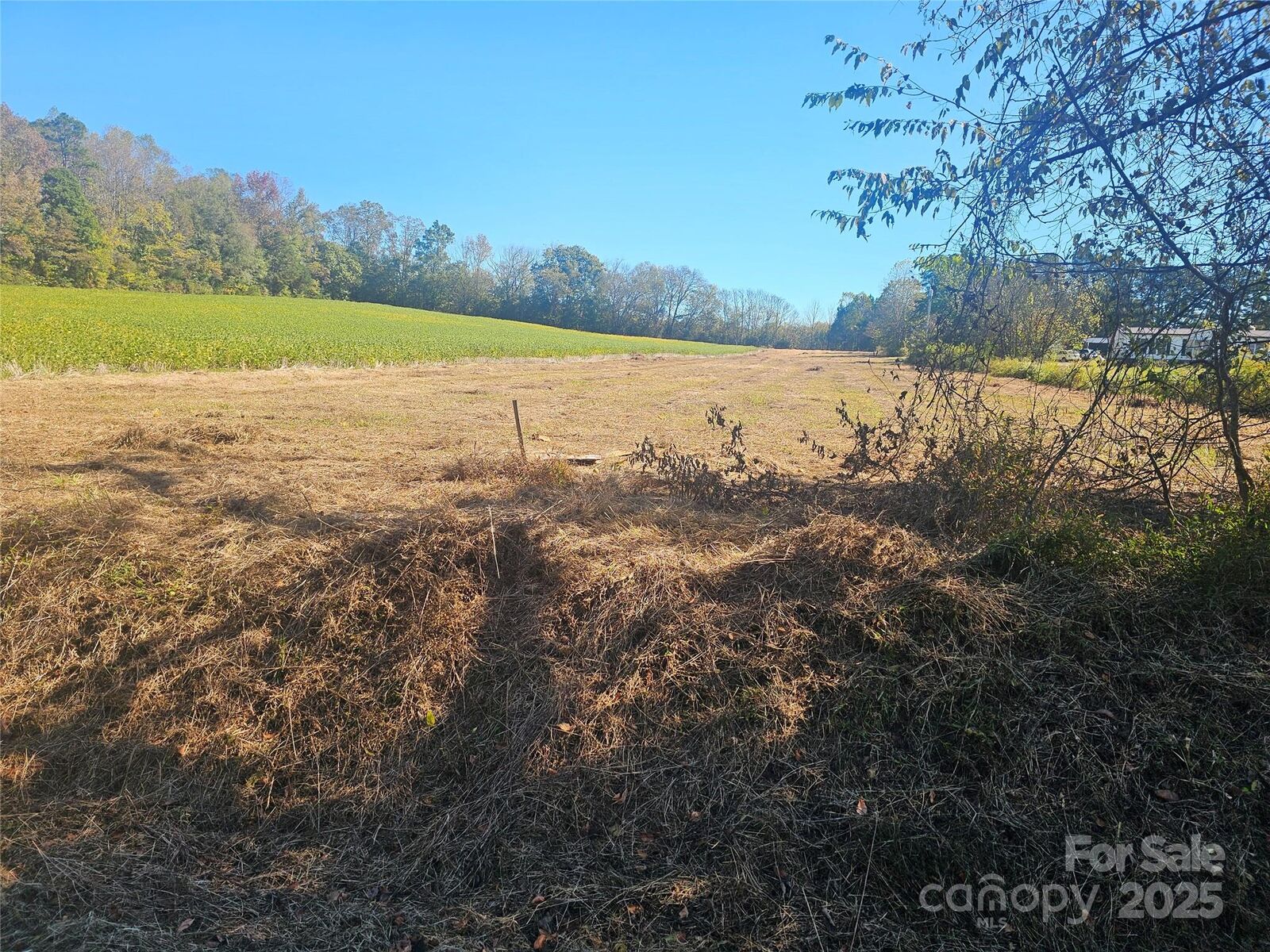 Property Photo: 1023 Mount Vernon Road NC 27054