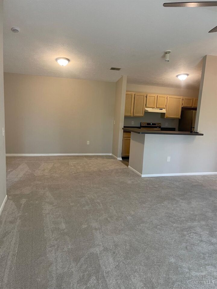 120 Carrington Lane  Loveland OH 45140 photo