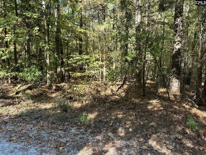 Property Photo: 00 Douglas SC 29126