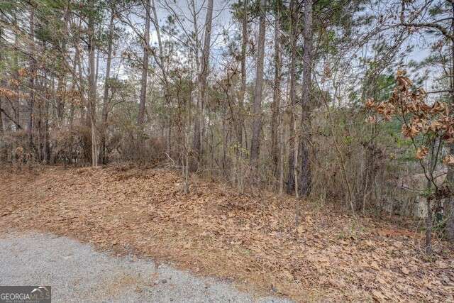 Property Photo: 0 Goldeneye Court Lot 90 GA 31064