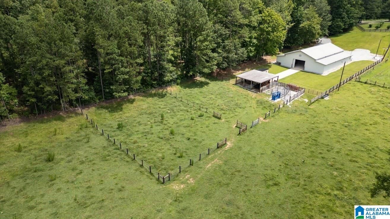 Property Photo:  00 County Road 19 0  AL 36264 