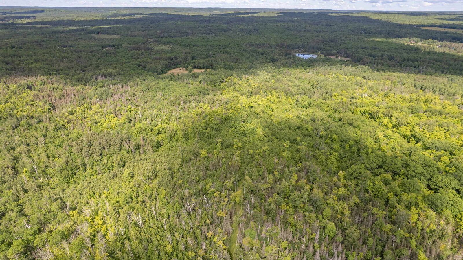 Property Photo: 5577 S Cant Rd MN 55804