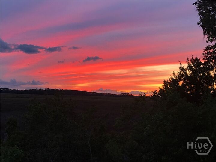 Property Photo:  120 Coffee Pointe Drive  GA 31419 