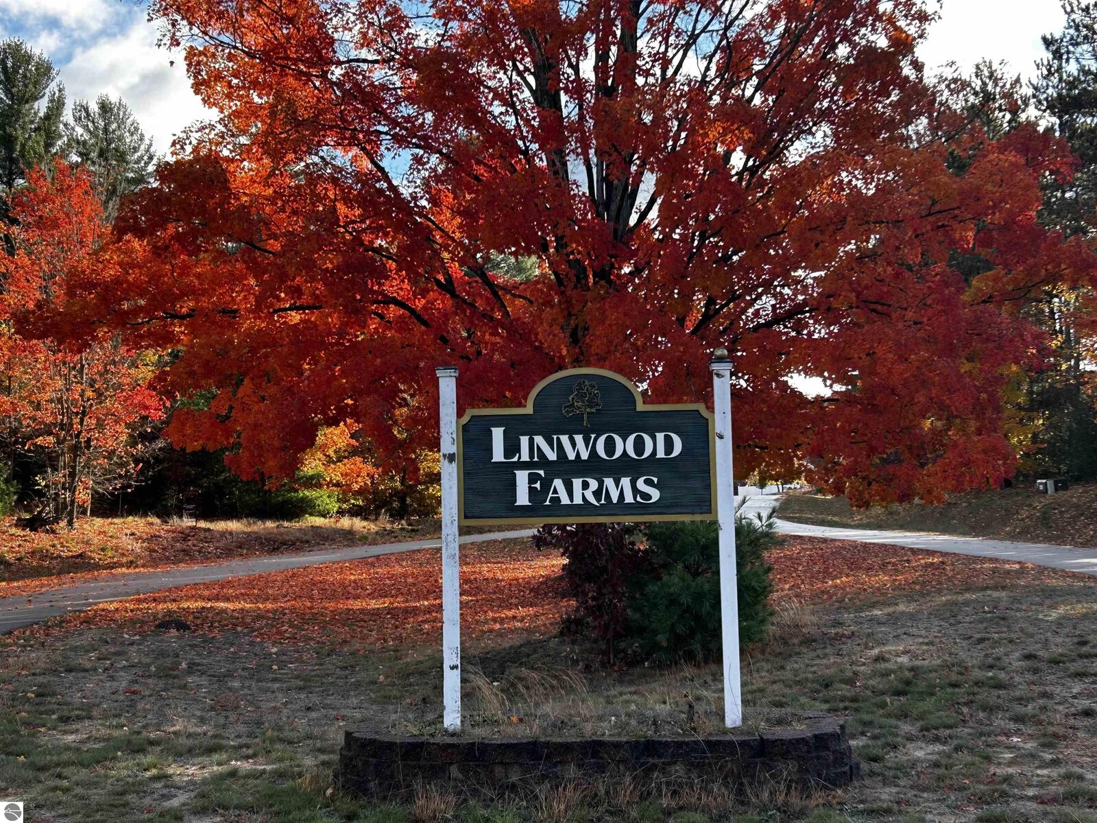 Property Photo: 2577 Danbury Road MI 49649