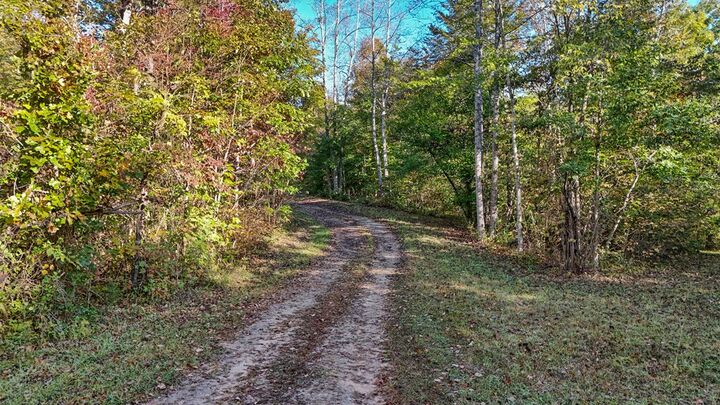 Property Photo:  Allen Rosen Rd  VA 23936 