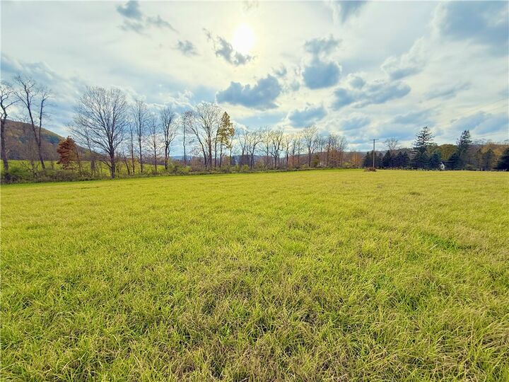 Property Photo: 0 White Church Road NY 14817