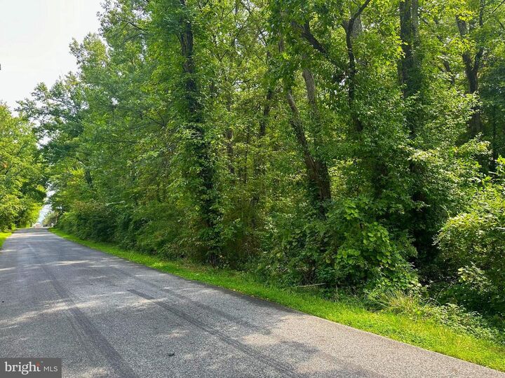 Property Photo: Parcel 943 Browns Road MD 21221