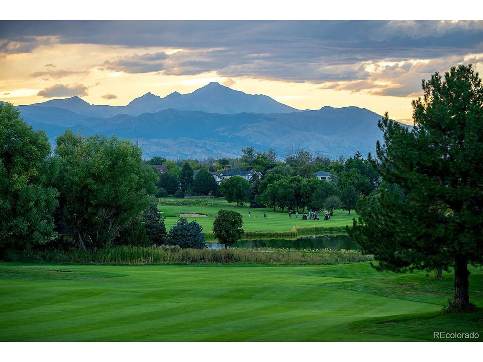 Property Photo:  768 Bridger Pt  CO 80026 